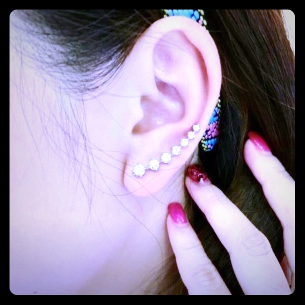 Silver Crystal Inverted Earrings - Picture 2 of 5